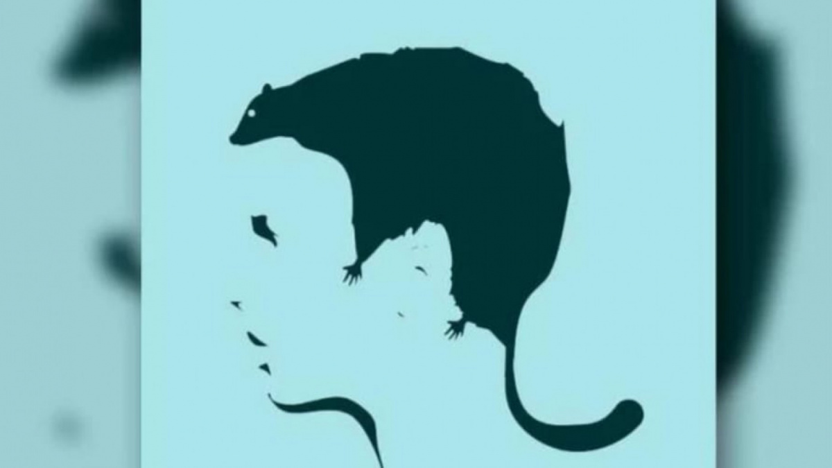 Ilustrasi tes kepribadian [Educadoreslive.com]