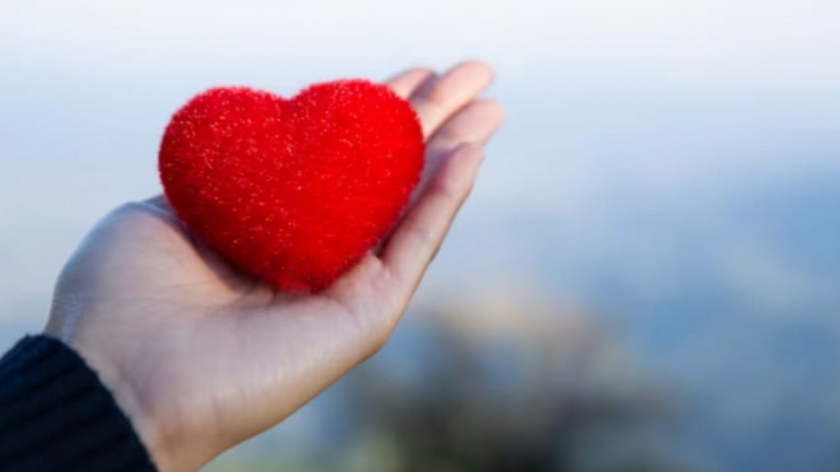 Gambar ilustrasi [Freepik]