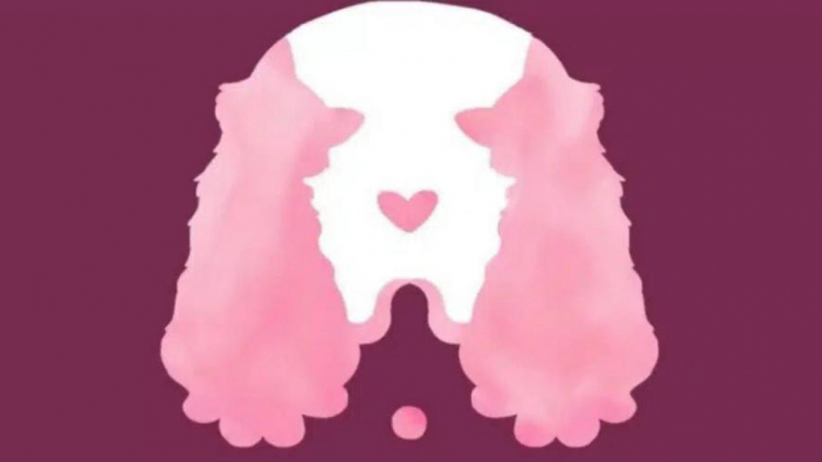 Ilustrasi tes kepribadian [Legrisou.fr]