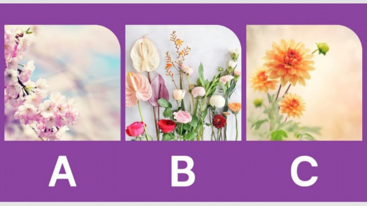 Ilustrasi tes kepribadian [tworiversrvparks.com]