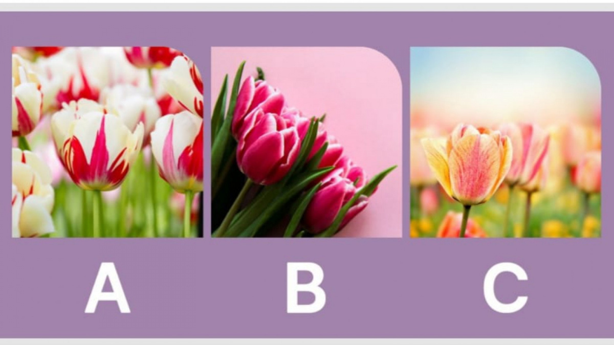 Ilustrasi tes kepribadian [tworiversrvparks.com]