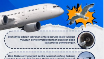 Apa Sih Bird Strike Pada Sistem Penerbangan Pesawat