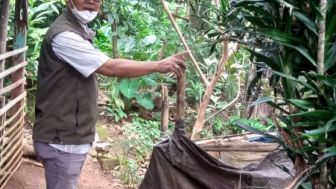 Tim Gabungan Kelurahan Pasir Putih Depok Tertibkan Jamban di Lingkungan Warga