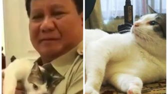 Cerita Lucu Kucing Prabowo Subianto yang Suka Pipis di Tas Ratusan Juta Milik Tamunya: Berengsek Juga Dia