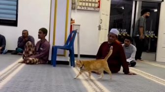 Lucunya Kucing Ini Ikut Pengajian dan Salim ke Pak Ustadz