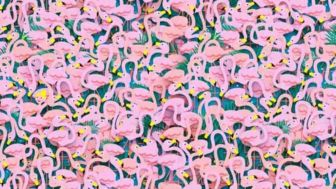 Tes IQ dan Ilusi Optik: Ada Penari Balet yang Bersembunyi Diantara Kumpulan Flamingo, Dapatkah Anda Menemukannya dalam Waktu 10 Detik?