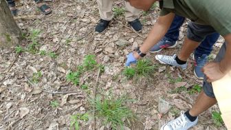 Polisi Tangkap Diduga Otak Penembakan Lansia di Kalsel, Ada Jejak Pengusaha Ini