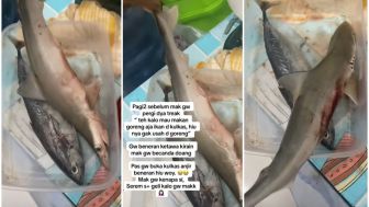 Wanita Ini Kaget Saat Disuruh Goreng Ikan Sama Ibunya, Pas Buka Kulkas Ternyata Ikan Hiu. Netizen: Auto Nyanyi Baby Shark adududu