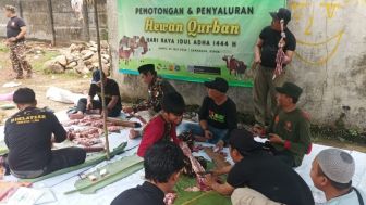 Sembelih dan Salurkan Hewan Kurban di Idul Adha, Ini Kata Ketua GP Ansor Depok