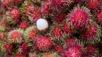 Jaga Kesehatan Tubuh Anda dengan Manfaat Buah Rambutan yang Luar Biasa