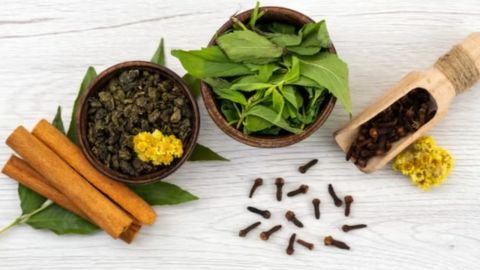 Selain Jahe dan Lidah Buaya, Berikut Rekomendasi Tanaman Obat yang Wajib Ada di Rumah