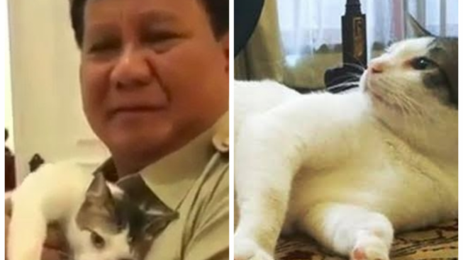 Cerita Lucu Kucing Prabowo Subianto yang Suka Pipis di Tas Ratusan Juta Milik Tamunya: Berengsek Juga Dia