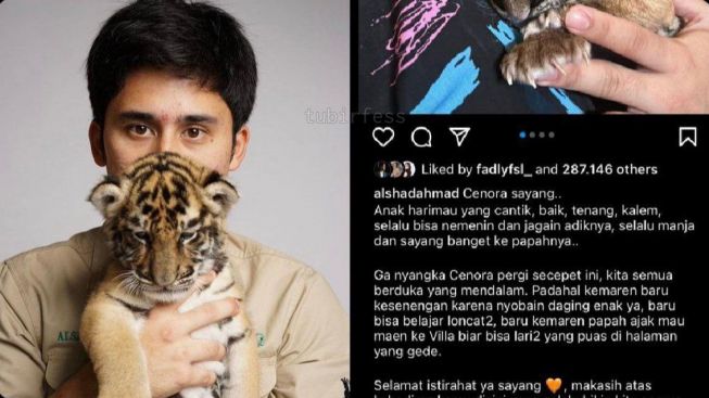 Harimau Peliharaan Meninggal, Alshad Ahmad Didesak Lepas Hewan Liar ke Hutan: Ngurus Anak Sendiri Aja Gak Becus...
