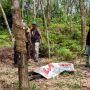 Pembunuhan di Kalsel, RBT: Semua Masih dalam Proses Hukum, Nggak Pusing Saya!
