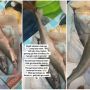 Wanita Ini Kaget Saat Disuruh Goreng Ikan Sama Ibunya, Pas Buka Kulkas Ternyata Ikan Hiu. Netizen: Auto Nyanyi Baby Shark adududu