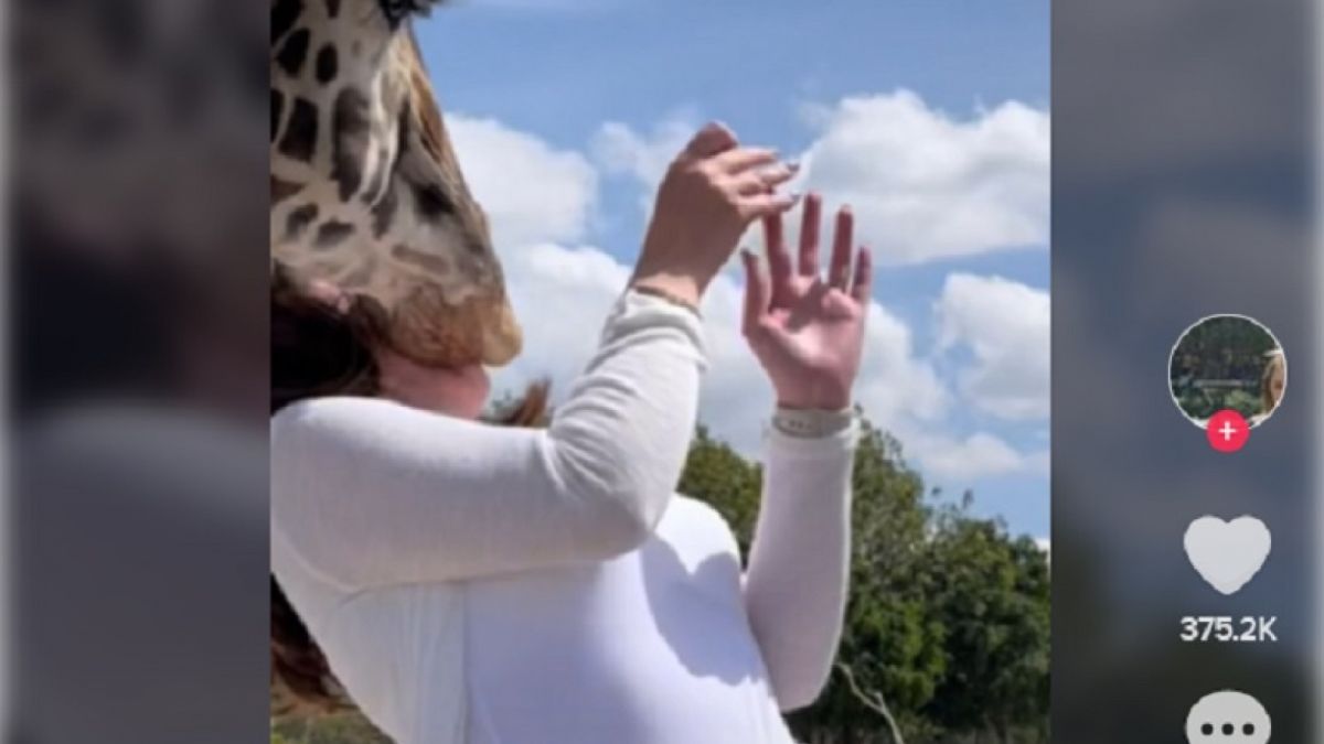 Sang wanita yang videonya viral ketika tiba-tiba dicium jerapah saat dilamar kekasihnya di taman safari. [Akun Tiktok @montserratcox/capture]