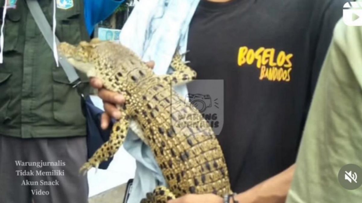 Viral aksi tawuran antarkelompok remaja di Duren Sawit, Jakarta Timur membawa anak buaya. (tangkapan layar/ist)