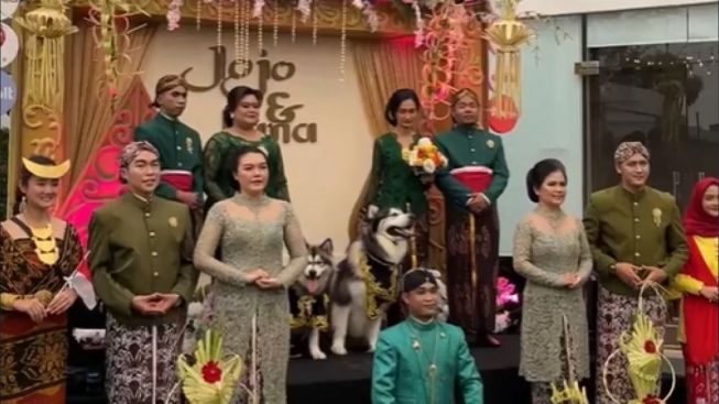 Telan Biaya Ratusan Juta, Pesta Pernikahan Anjing Super Mewah Bikin Jiwa Miskin Netizen Meronta: Ada Aqiqahan Juga?