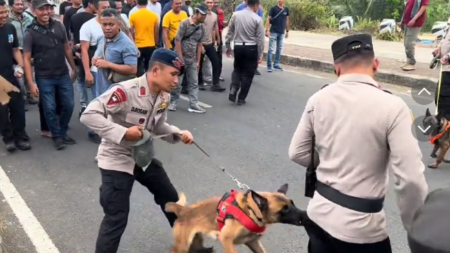 Kocak! Nyengir usai Digigit Anjing Pelacak, Komandan Polisi Diketawain Anak Buah
