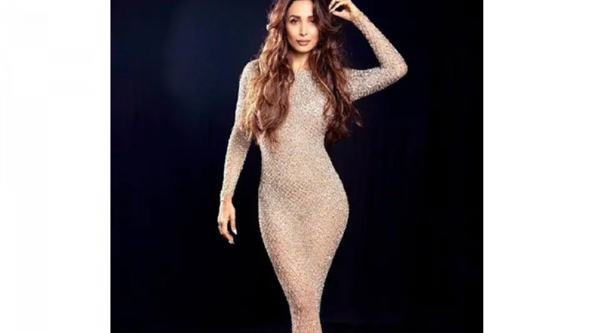 Malaika Arora bodycon