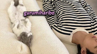 Bocor! Foto V BTS Tidur di Samping Kucing Ibu Jennie Blackpink