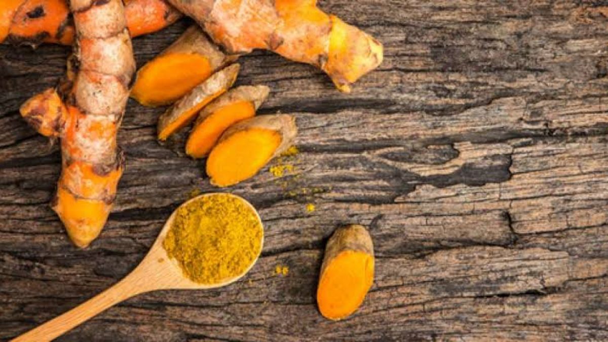 Manfaat kunyit untuk kesehatan manusia terutama untuk pencernaan dan fungsi otak.