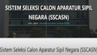 Gawat! Sebanyak 2,3 Juta Honorer Terancam di Coret Dari Data Best BKN, Simak Ini Sebabnya