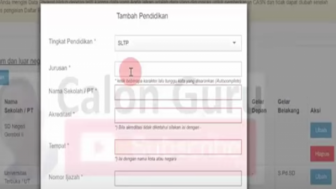 Batal Dapat NIP PPPK Akibat DRH TMS, Begini Cara Mudah dan Efektif Unggah Berkas, Terakhir lakukan Ini