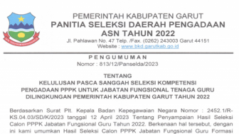 Sebanyak 3,318 Guru Honorer di Garut Siap Berganti Status Menjadi ASN PPPK 2023, Ini Penjelasan Panselda