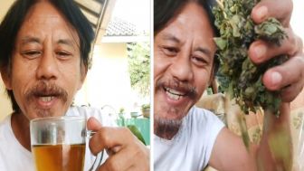 Kang Mus Preman Pensiun Pulang Ke Garut, Hanya Untuk Mencari Tanaman Obat Ini: Ampuh Mencegah Kanker