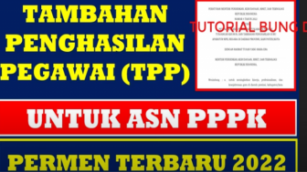 Wow! TPP PNS Kaltim Rp3,5 Juta, Forum PPPK Mengadu ke DPRD Minta Dinaikkan, Mengapa?