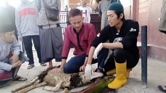 Panitia Mesjid Baitul Fattah Perum Puri Gandasari Garut Adakan Pelatihan Sembelih Hewan Qurban Jelang Idul Adha 1444H