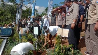 Kecamatan Singajaya Bisa Produksi Porang Hingga 10 Ribu Ton, Kementan RI Akan Bangun Pabrik Pengolahan di Garut