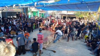 Usai Shalat Idul Adha 1444 H, Umat Islam di Kampung Pajagalan Garut Hari Ini Tunaikan Kurban 10 Ekor Sapi