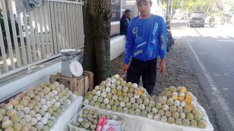 Buah Kesemek Apelnya Garut Asal Cikajang, Masih Jarang Diketahui