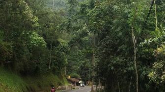 Serem! 3 Tempat Ini Dipercaya Paling Angker di Garut, Dihuni Siluman Buaya hingga Hantu Korban Petrus