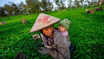 Fokus Pada Kesehatan Gizi Anak dan Keluarga, PNM Berikan Penyuluhan Kepada 15.000 Nasabah