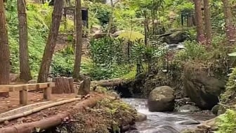 Ini 3 Rekomendasi Wisata Alam Hidden Gem di Garut, Punya Sensasi Beda