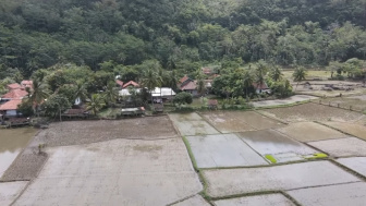 Kampung Wangun di Garut: Menyapa Keindahan Sungai, Kebun Pepaya, dan Terasering yang Memukau