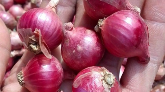 Jangan Dibuang! Kulit Bawang Merah Punya Khasiat untuk Kesehatan