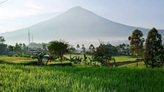 Para Jomblo Auto Penasaran, Warga di Kampung Pasir Awi Garut Didominasi Perempuan