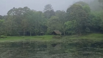 Situ Cibeureum Rekomendasi Healing Menyejukan Hati di Garut, Berikut Tiket Masuk dan Akses Lokasi