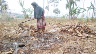 19 Kecamatan di Garut Terdampak Kemarau, Pemerintah Perpanjang Status Tanggap Darurat