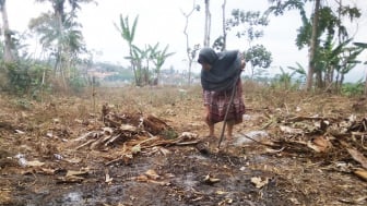 Terdampak Kemarau, Warga Karangpawitan Garut Pertanyakan Soal Bantuan Beras