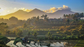 Fakta Unik Asal Usul Garut Dijuluki Kota Intan, Banyak Warganya Bernama Intan?