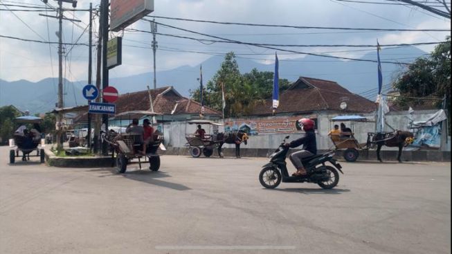Selama Arus Lebaran, Pemkab Garut Larang Kendaraan Delman Beroperasi di Jalur Limbangan dan Malangbong