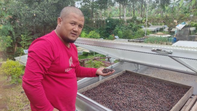 Inovatif! Tingkatkan Efisiensi Waktu dan Produktivitas Kopi, KTH Girikarya Gunakan Teknologi Solar Dryer Portable