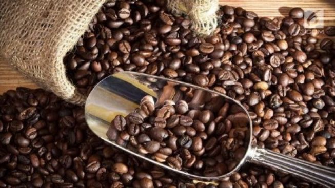 Pecinta Kopi Wajib Tahu, Ini Perbedaan Arabica dan Robusta.