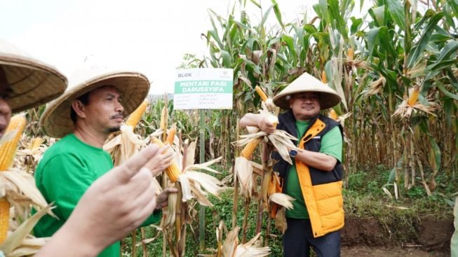 Baznas RI Miliki Lumbung Pangan di Kabupaten Garut, Memberdayakan 50 Kelompok Tani