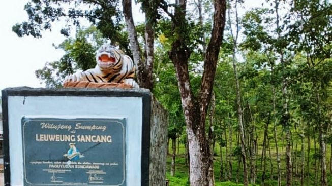 Dikaitkan dengan Prabu Siliwangi, Hutan Sancang di Garut Dipercaya Dihuni Pasukan Harimau Siluman